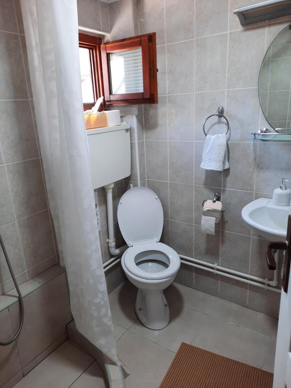 Apartmani Jovanovic ペルチャツ 部屋 写真
