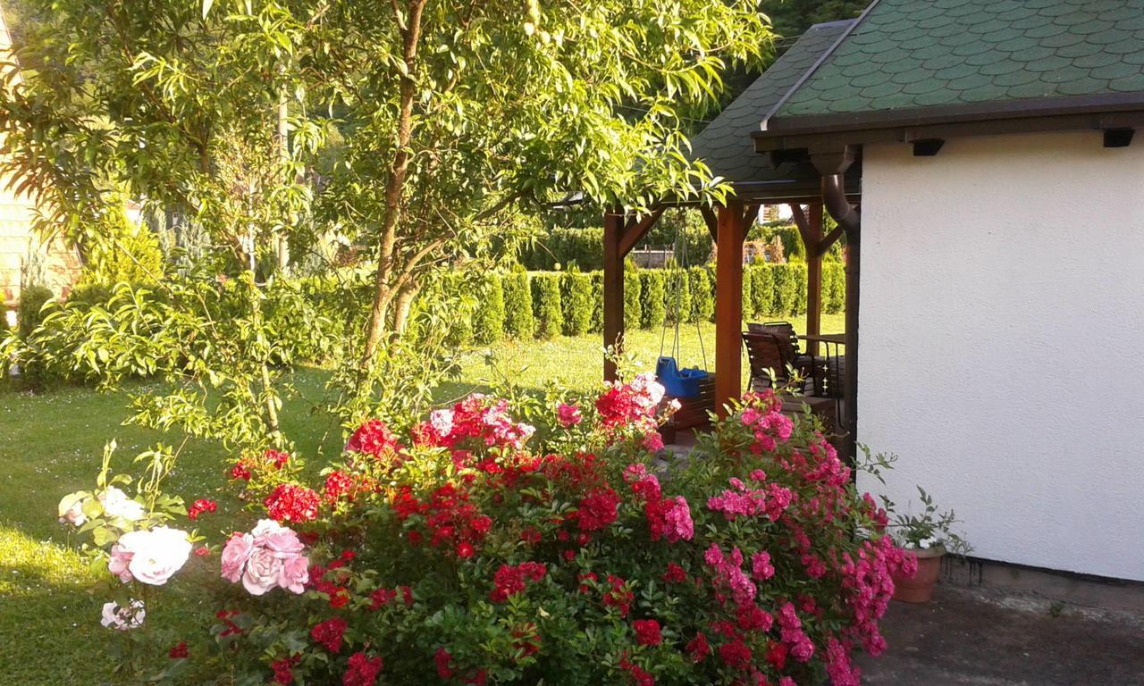 Apartmani Jovanovic ペルチャツ エクステリア 写真