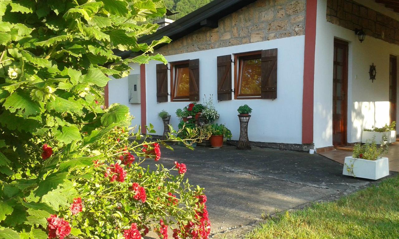 Apartmani Jovanovic ペルチャツ エクステリア 写真